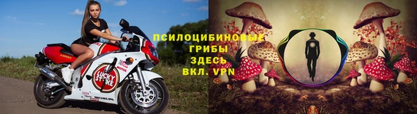 метамфетамин Щигры