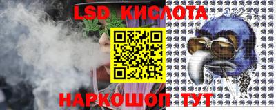 прущие грибы Гатчина