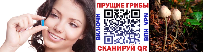 Галлюциногенные грибы мухоморы  Тверь 