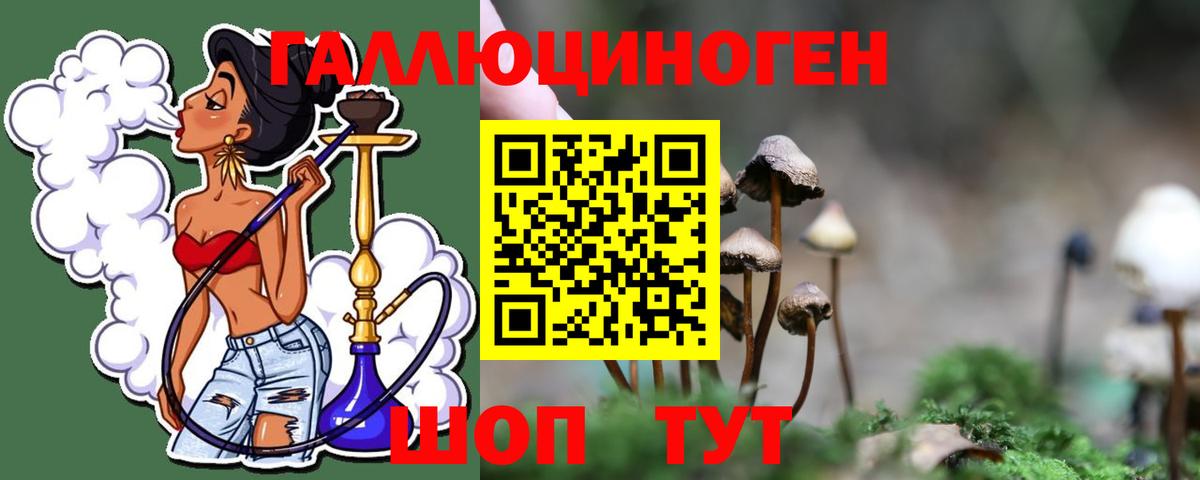 Галлюциногенные грибы MAGIC MUSHROOMS  Вход с VPN  Галлюциногенные грибы GOLDEN TEACHER  Тверь 